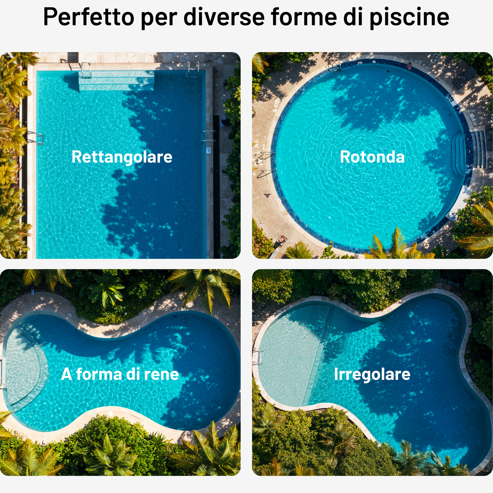 SPINO E1