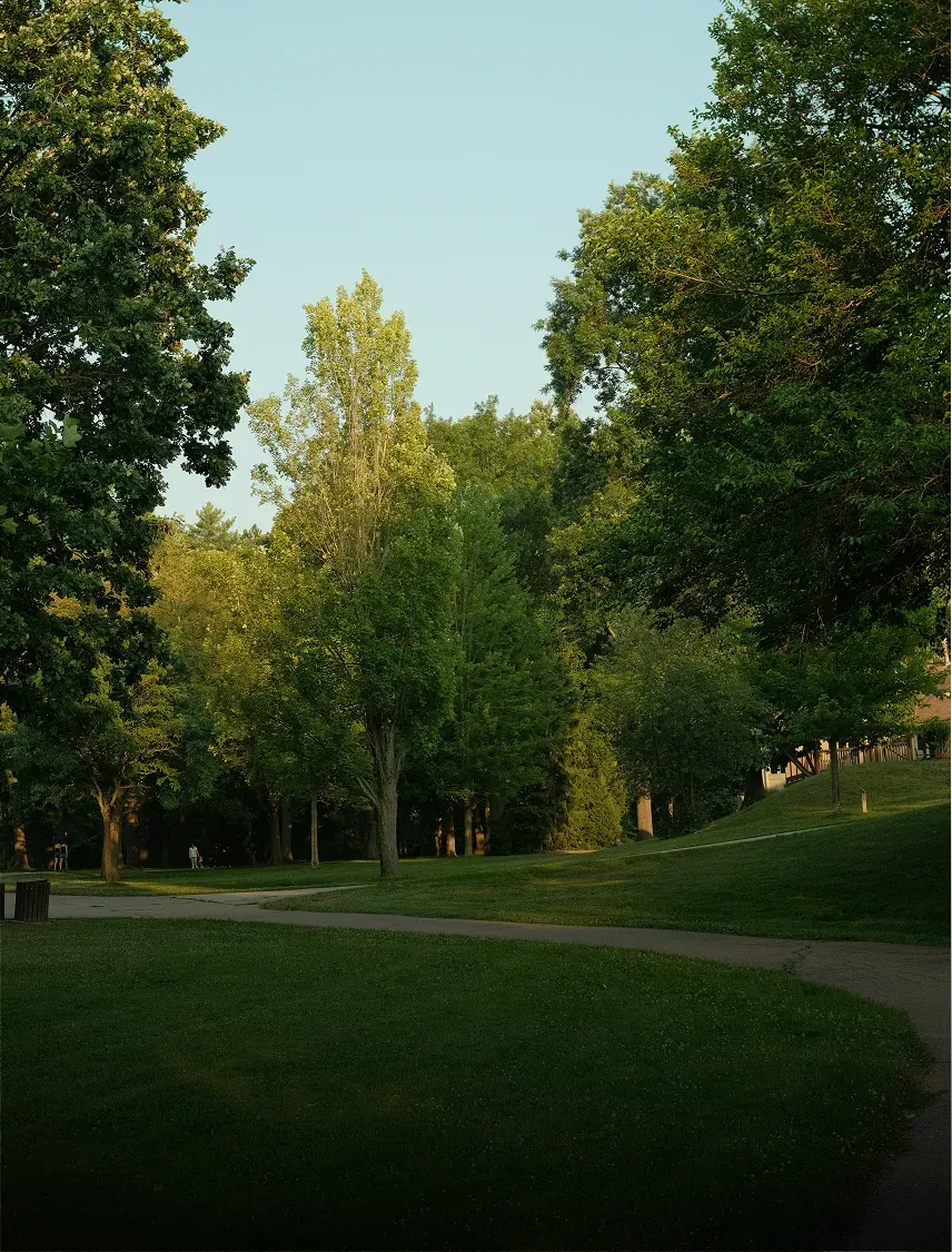 Prato di un parco pubblico
