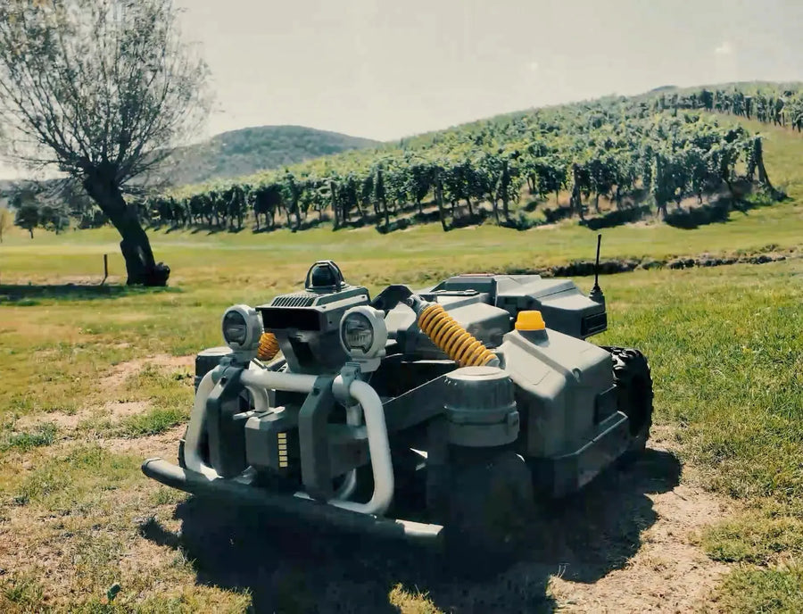 Maston su un green del Golf Zlati Grič con i vigneti sullo sfondo