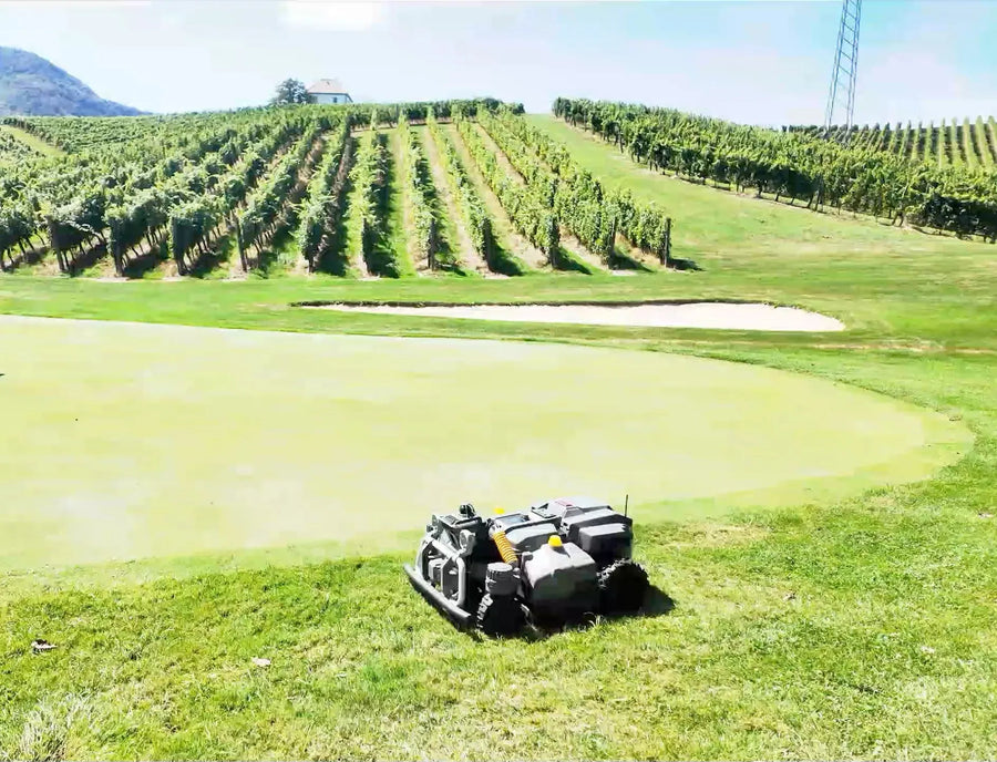 Maston su un green del Golf Zlati Grič con i vigneti sullo sfondo